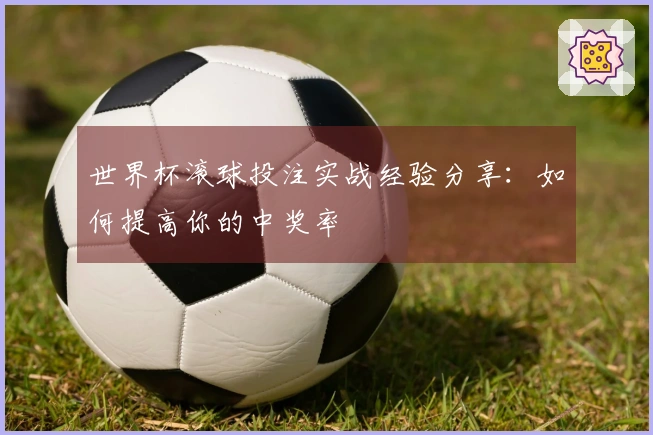 世界杯滚球投注实战经验分享：如何提高你的中奖率