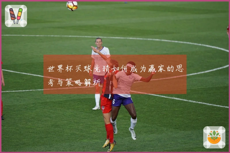 世界杯买球竞猜如何成为赢家的思考与策略解析