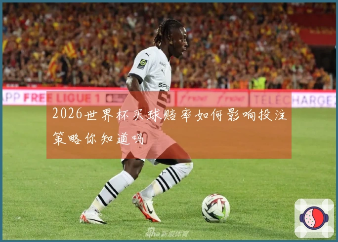 2026世界杯买球赔率如何影响投注策略你知道吗