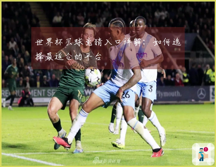 世界杯买球竞猜入口详解：如何选择最适合的平台