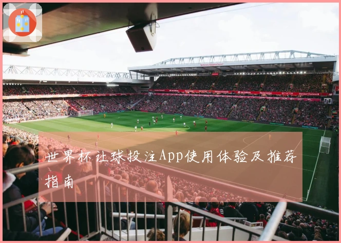 世界杯让球投注App使用体验及推荐指南