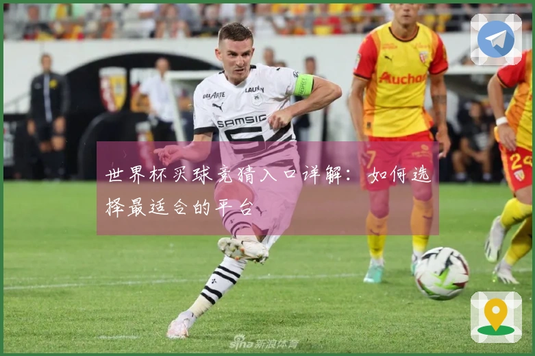 世界杯买球竞猜入口详解：如何选择最适合的平台