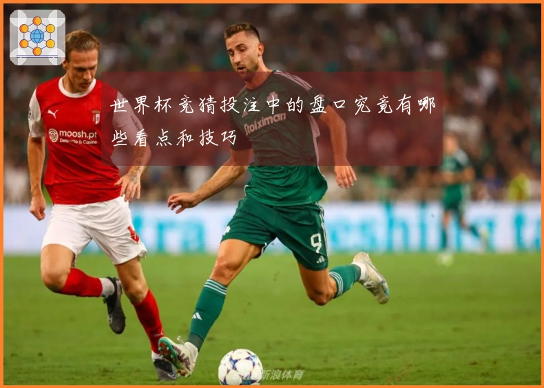世界杯竞猜投注中的盘口究竟有哪些看点和技巧