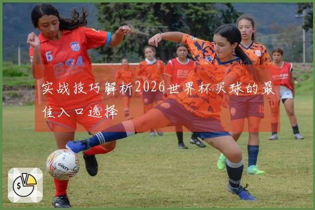 实战技巧解析2026世界杯买球的最佳入口选择