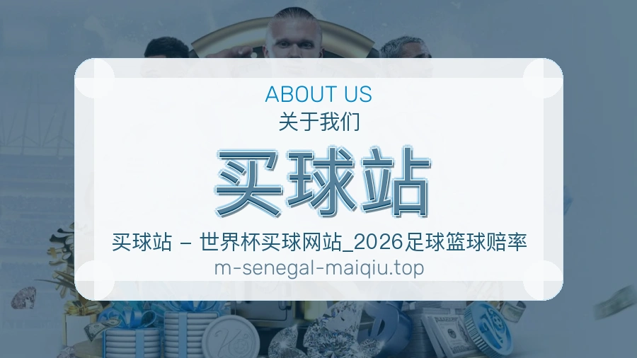 关于 买球站 团队与服务
